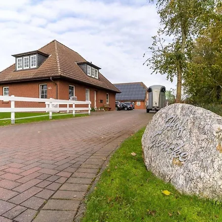 דירה Apartments,