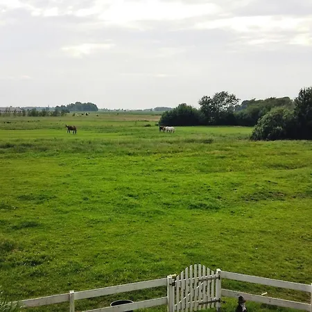 דירה Apartments, Tönning